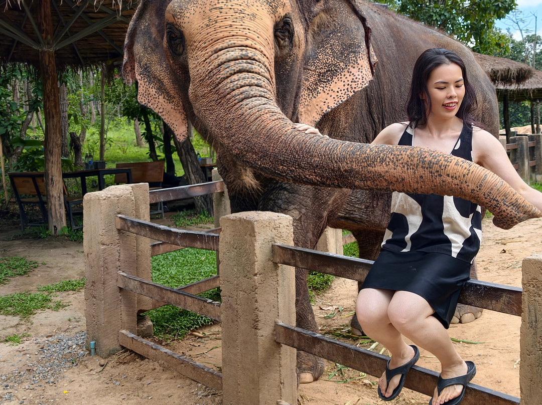 Maerim Elephant Sanctuary-夜林必去景点