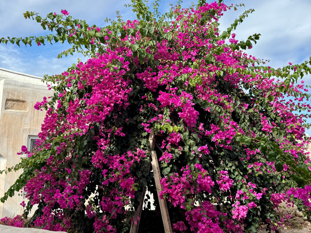 Naxos Old Town-纳克索斯必去景点