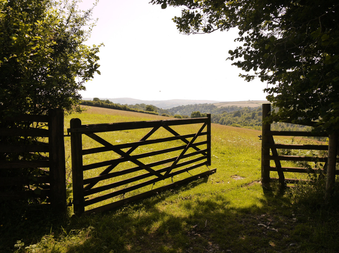 Nantgwynfaen Organic Farm Wales主图