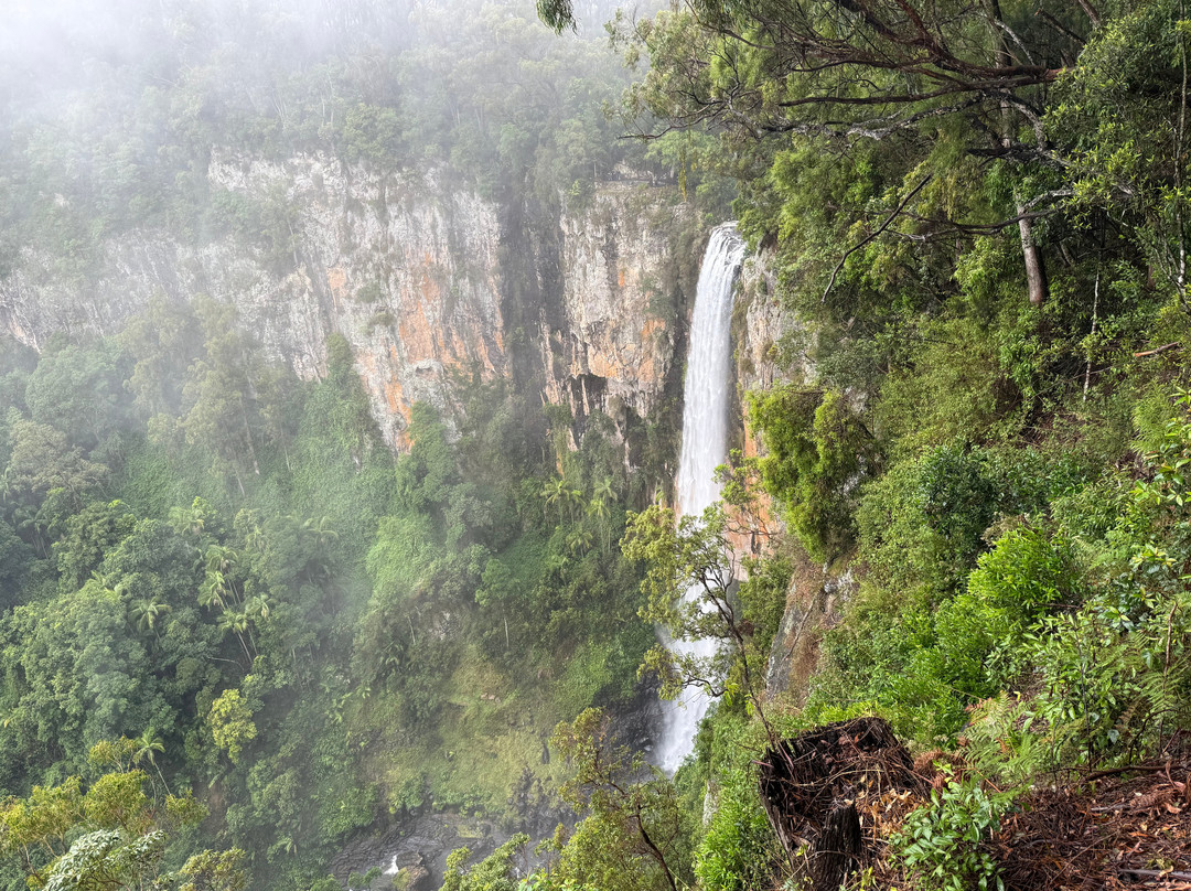 Purling Brook Falls-春之泉必去景点