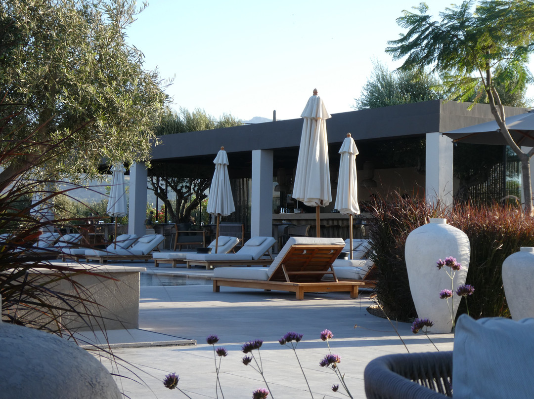 The Ritual, A Wellness Retreat