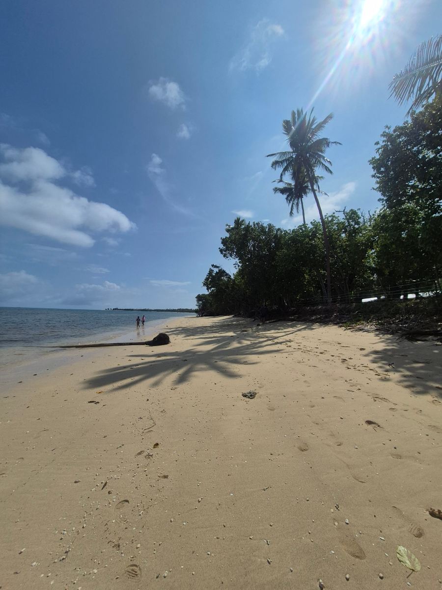 Ha'apai Beach Resort-旅行者