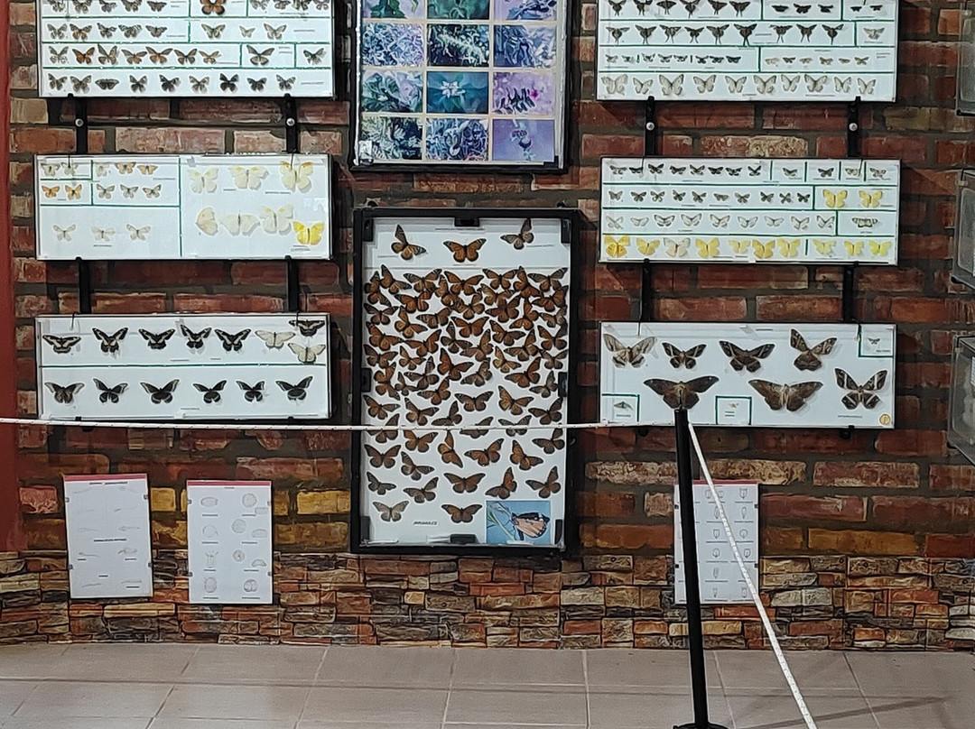 Museo Piedras del Mundo-圣奥古斯汀镇必去景点