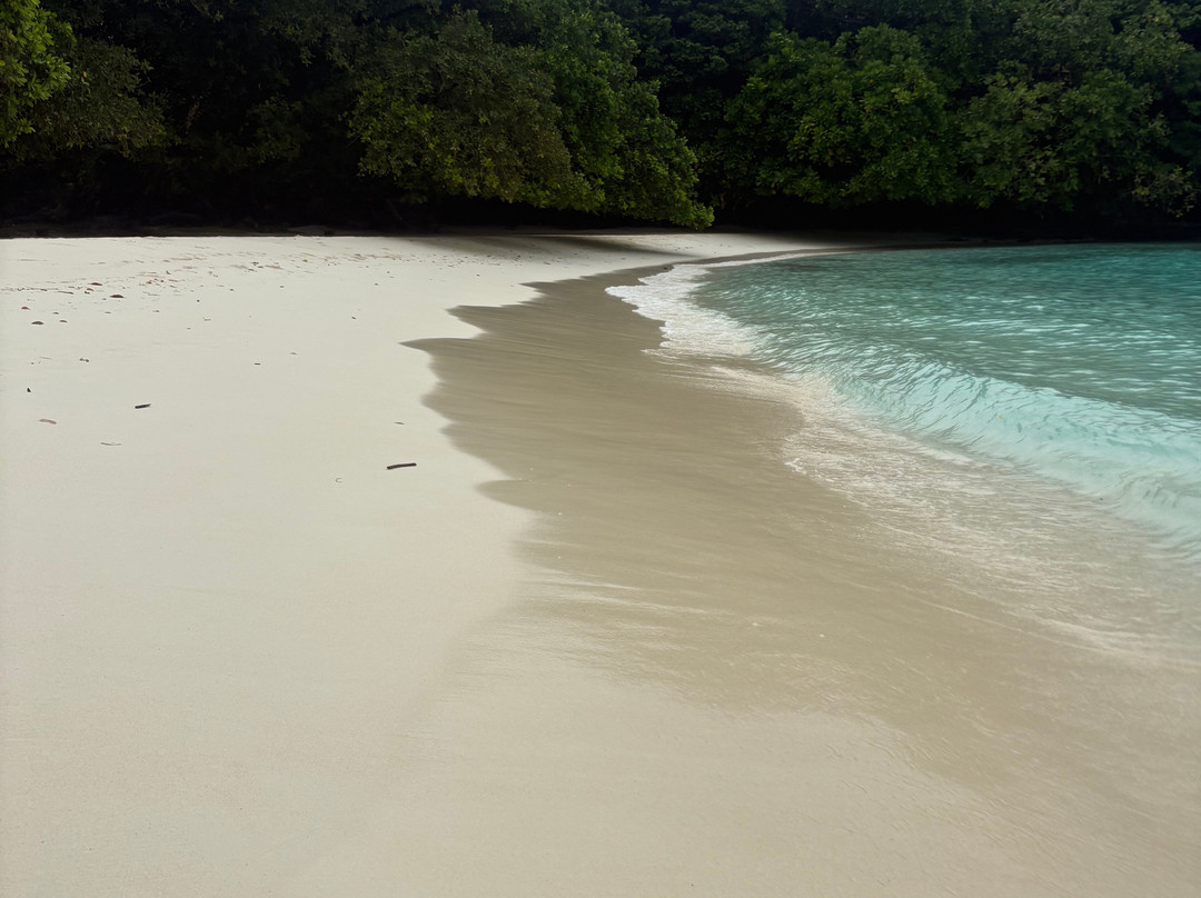 Dany Island-卢甘维尔必去景点