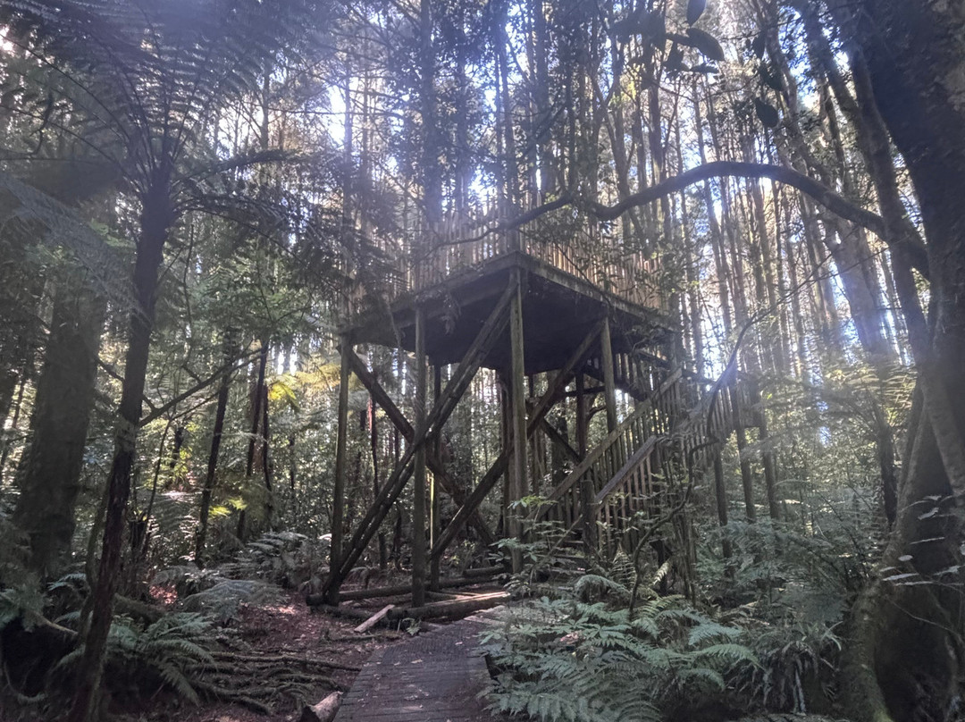 Yarndley's Bush-Te Awamutu必去景点