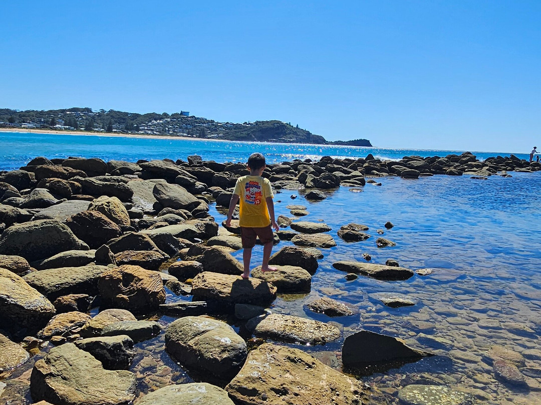 Avoca Beach-特里格尔必去景点