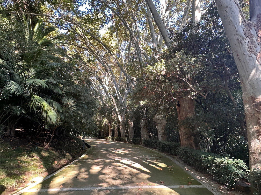 Jardín Botánico Histórico La Concepción-马拉加必去景点