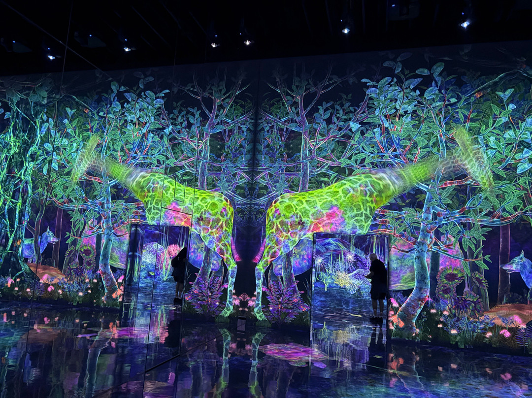 teamLab Planets TOKYO-Toyosu必去景点