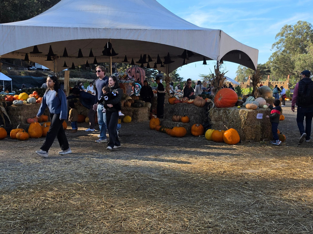 Arata Pumkin Farm-半月湾必去景点