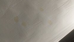 Best Western Inn Of Nacogdoches主图