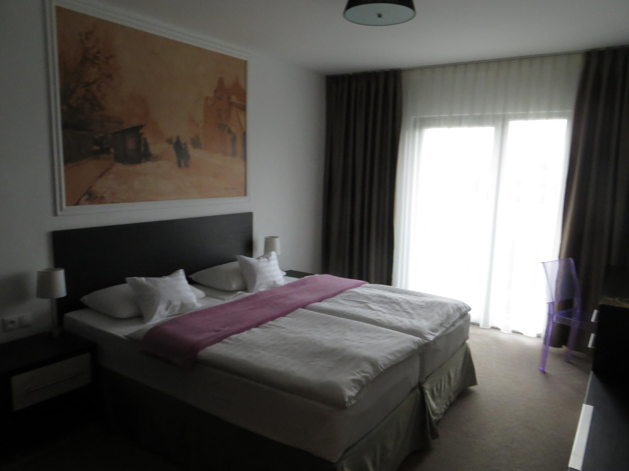 Hotel Mousson-客卧
