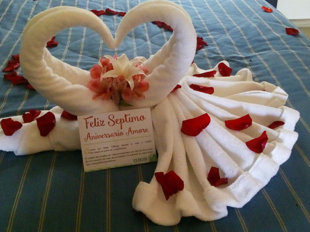 Calvillo酒店住宿-Yolihuani Temazcales Spa