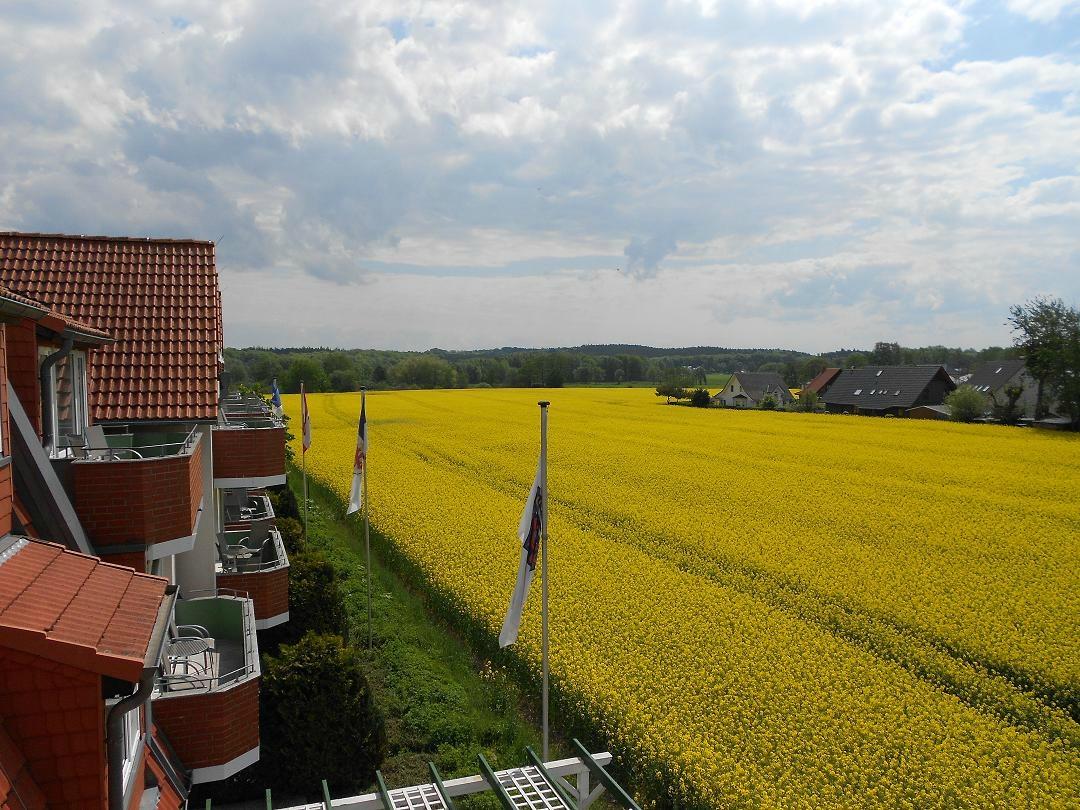 Appartement-Hotel Haus Usedom-酒店景观