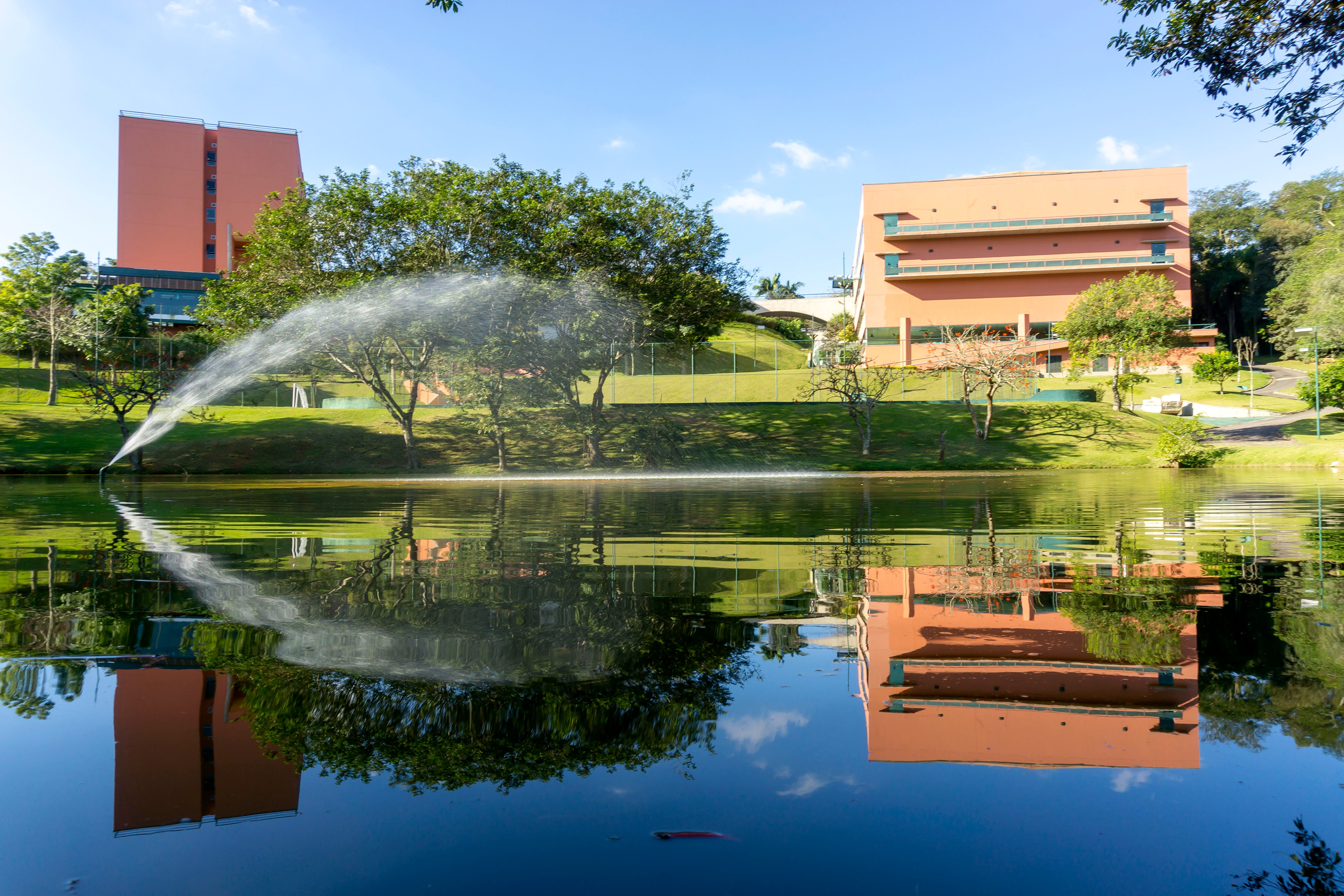 Almenat Embu das Artes, Tapestry Collection by Hilton-官方