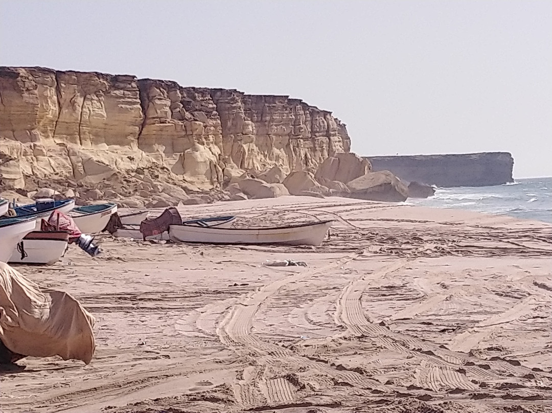 Turtle Guest House主图