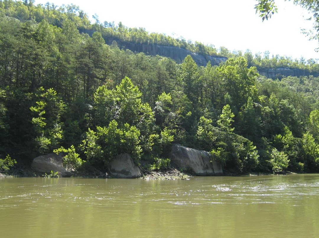 Big South Fork National River and Recreation Area景点图片