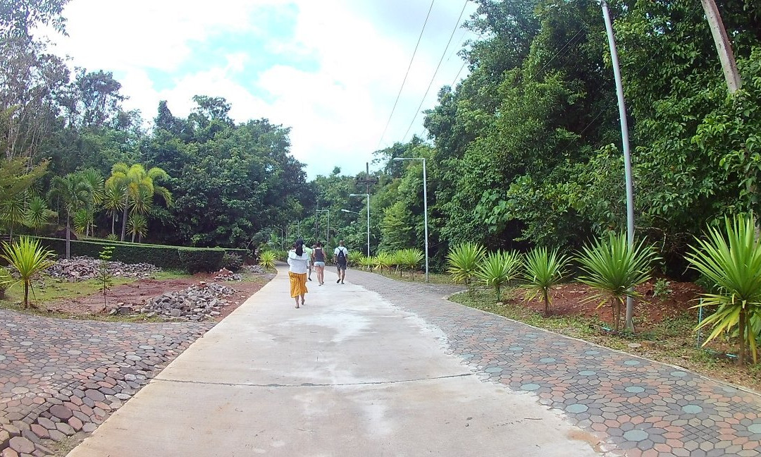 Saline Hot Spring Khlong Thom景点图片