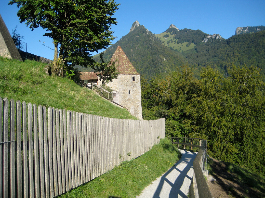 SwissSafari GmbH-Wolfisberg必去景点
