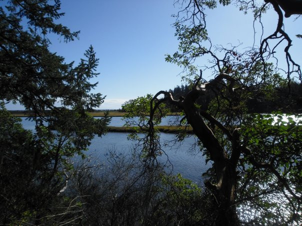 Witty's Lagoon Regional Park景点图片