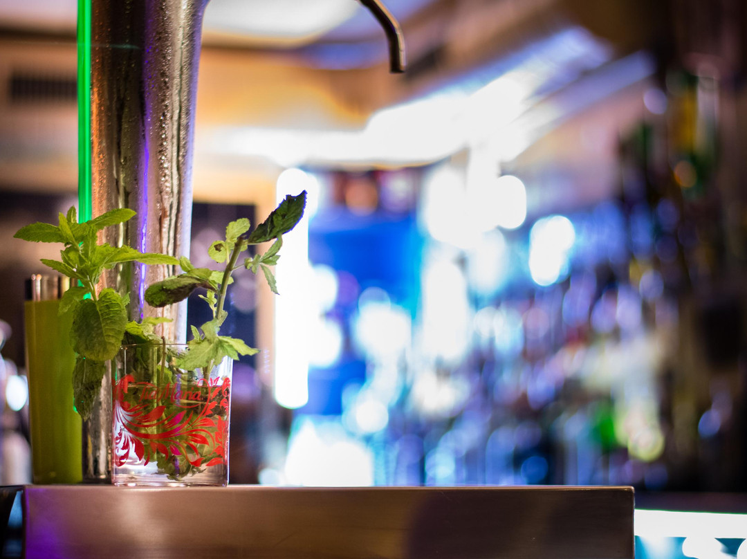 Islares旅游景点-Pub Night