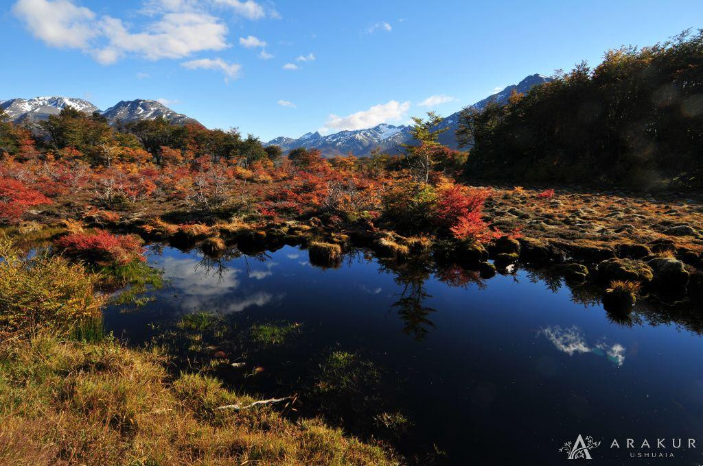 Cerro Alarken Nature Reserve景点图片