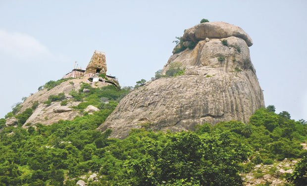 Arulmigu Lakshmi Narasimha Swamy Temple景点图片