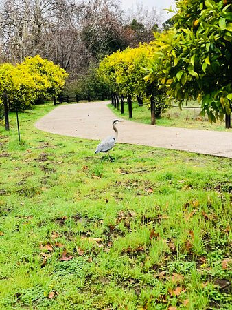 Blackberry Farm-库柏蒂诺必去景点
