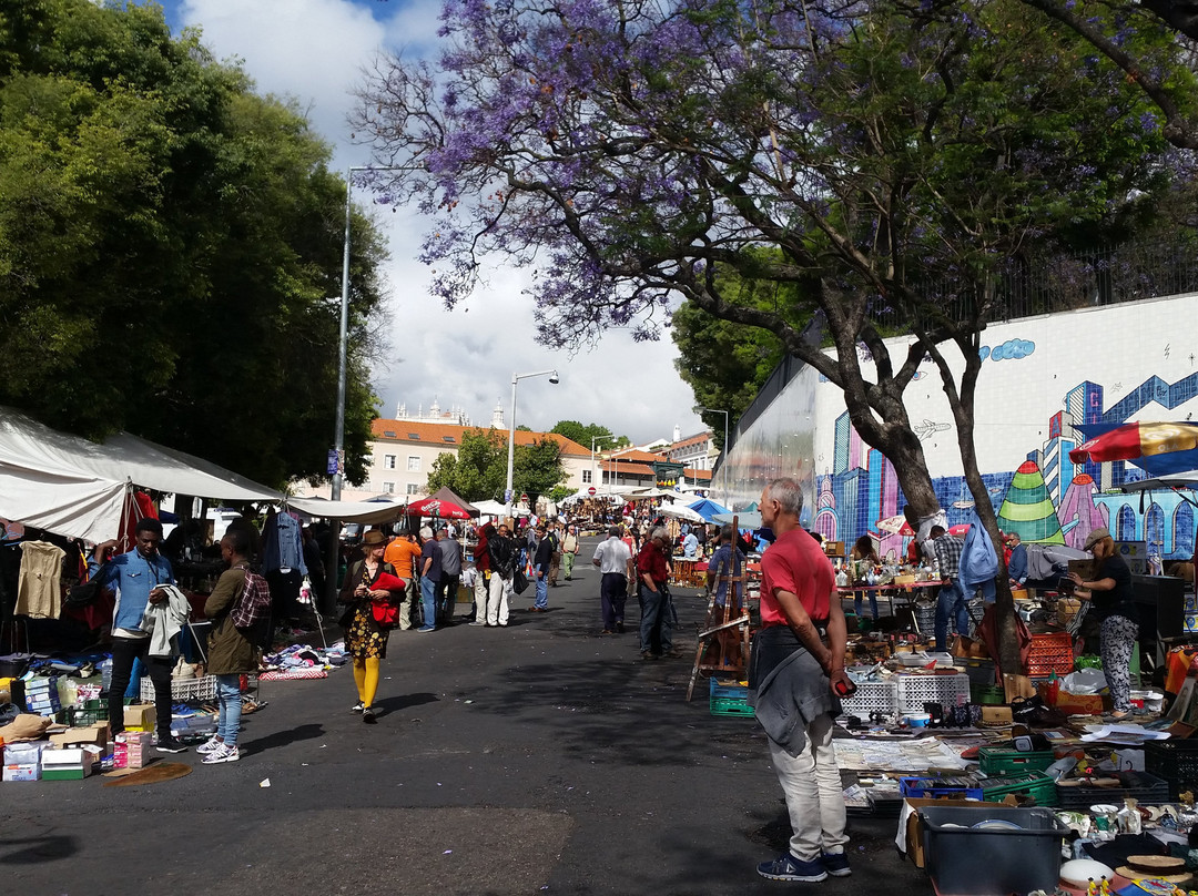 Feira Da Ladra (campo De Santa Clara)-里斯本必去景点