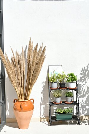 Il Palmento B&B主图