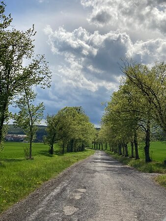 Camp du Ban-Saint-Jean-Boulay-Moselle必去景点