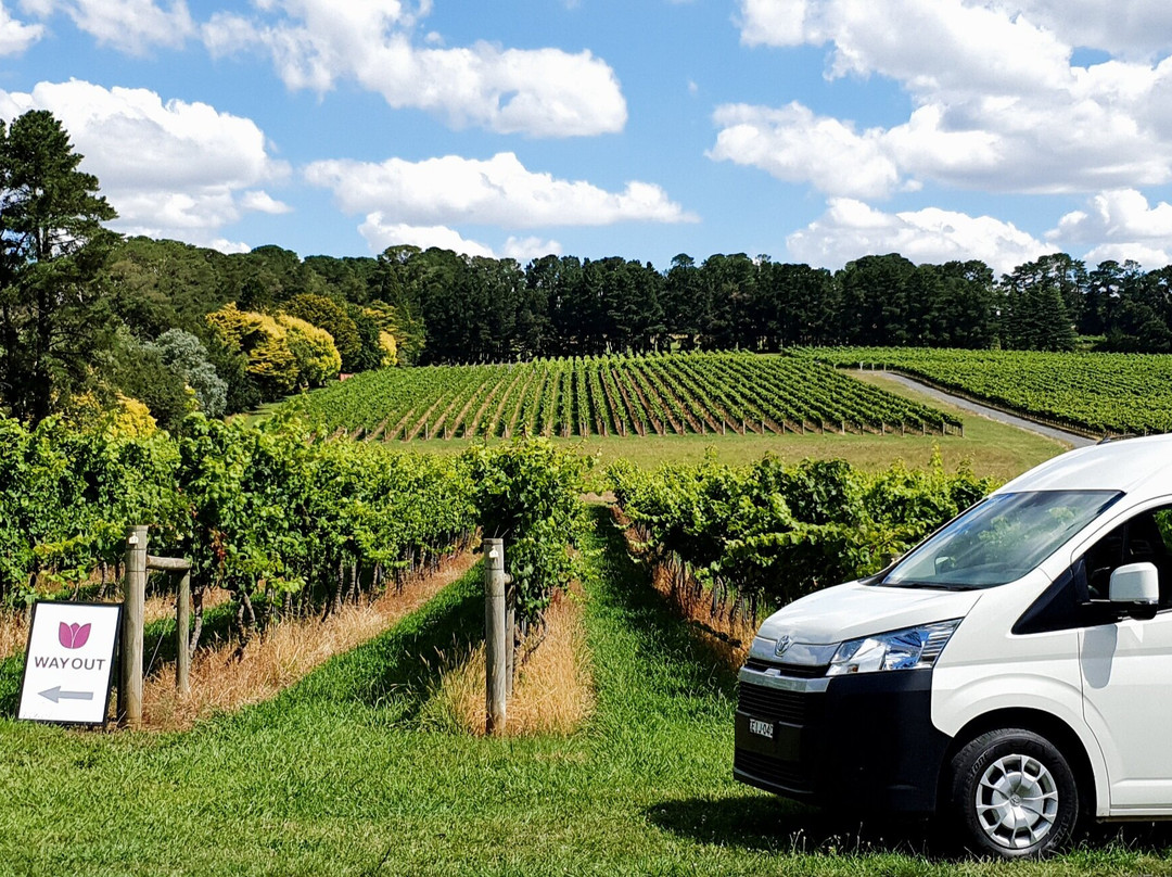 Orange Wine Tours-奥兰治必去景点