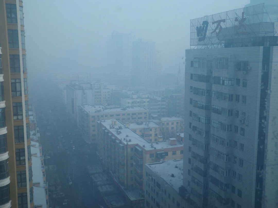 帕弗尔饭店主图