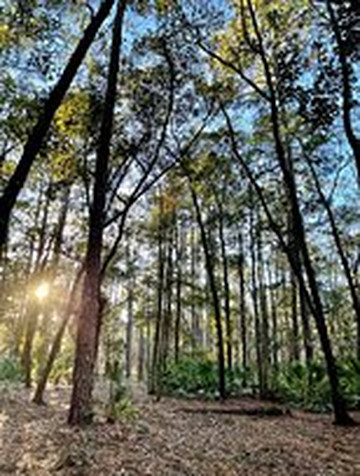 Tillie K. Fowler Regional Park-杰克逊维尔必去景点