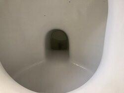 Pakiri Beach Horse Rides - Day Tours-韦尔斯福德必去景点