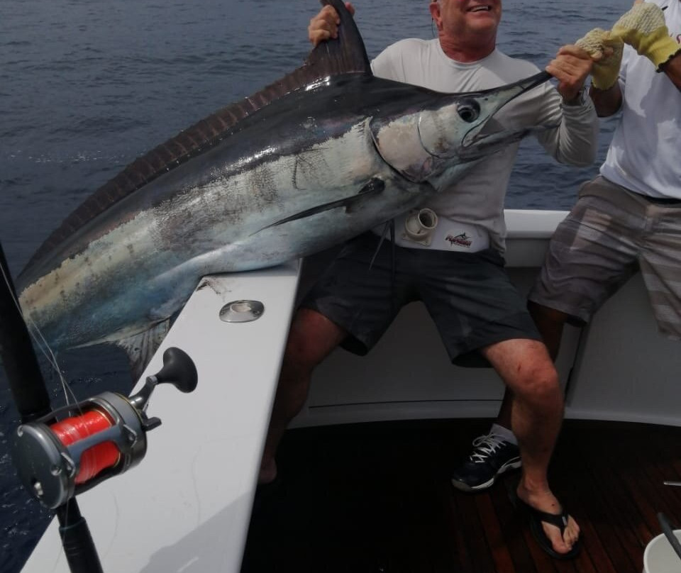Tres Amigos Sportfishing景点图片