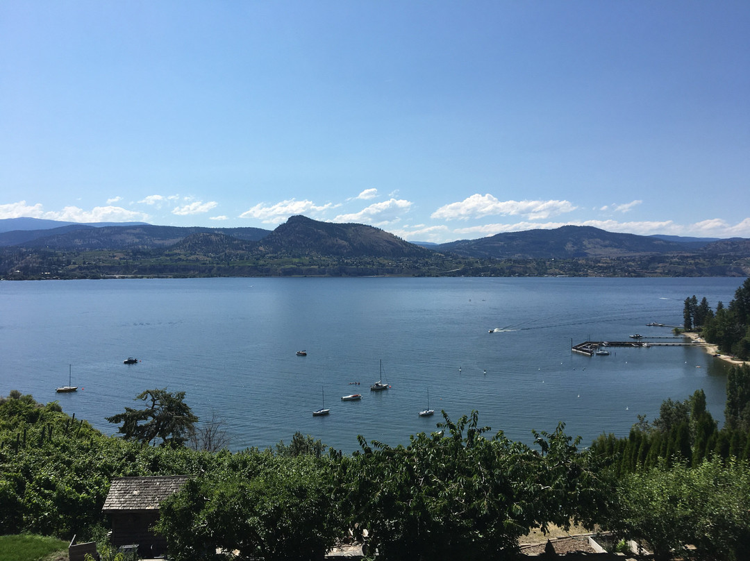 Naramata Suite Dreams Bed And Breakfast主图