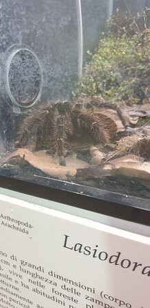 Museo di Storia Naturale del Salento-Calimera必去景点