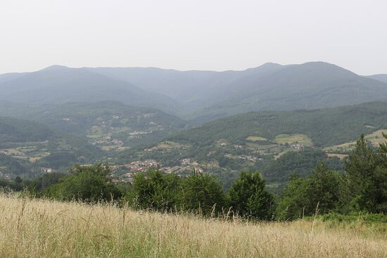 Parco Nazionale delle Foreste Casentinesi, Monte Falterona e Campigna景点图片