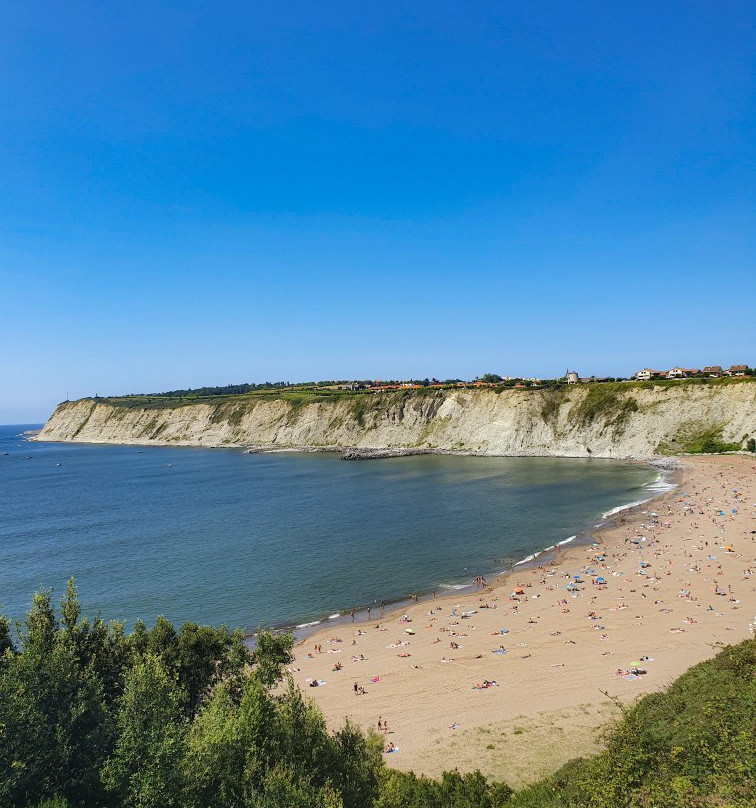 Playa de Arrigunaga景点图片