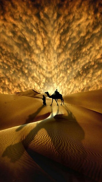 Jaisalmer Desert Safari Camp-官方
