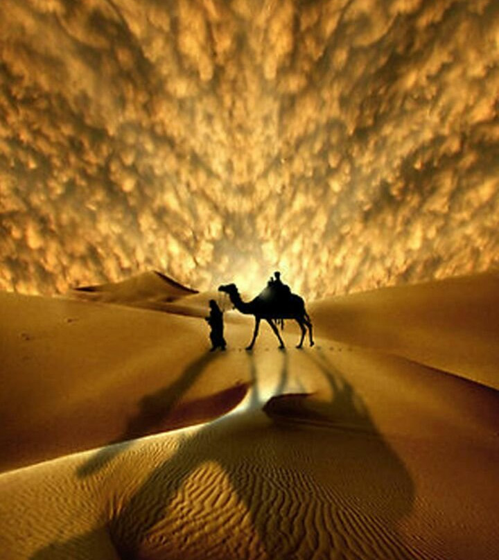 Jaisalmer Desert Safari Camp主图
