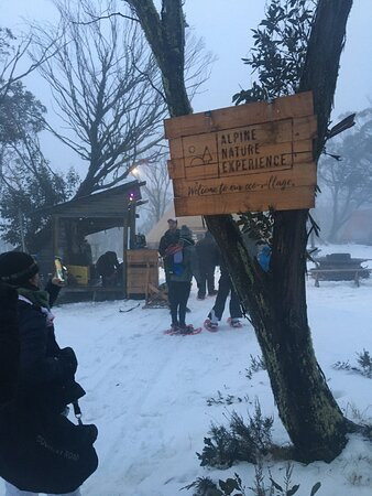 Alpine Nature Experience-Mount Hotham必去景点