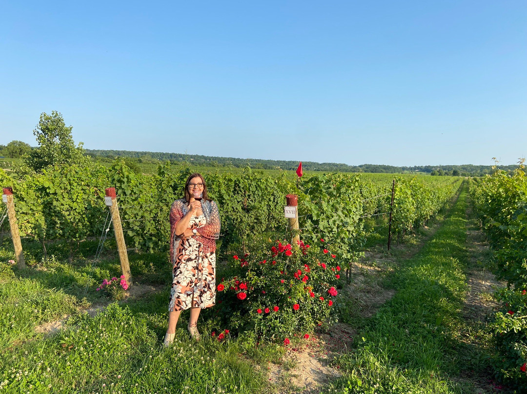 Villa Romana Estate Winery-林肯必去景点