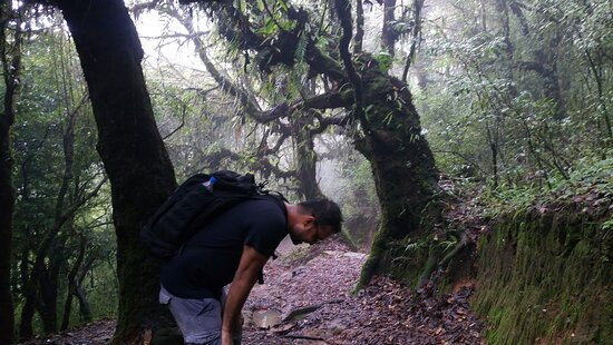 Nagarkot Nature Trail-纳加阔特必去景点