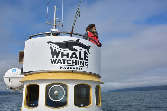 Whale Watching Hauganes-Hauganes必去景点