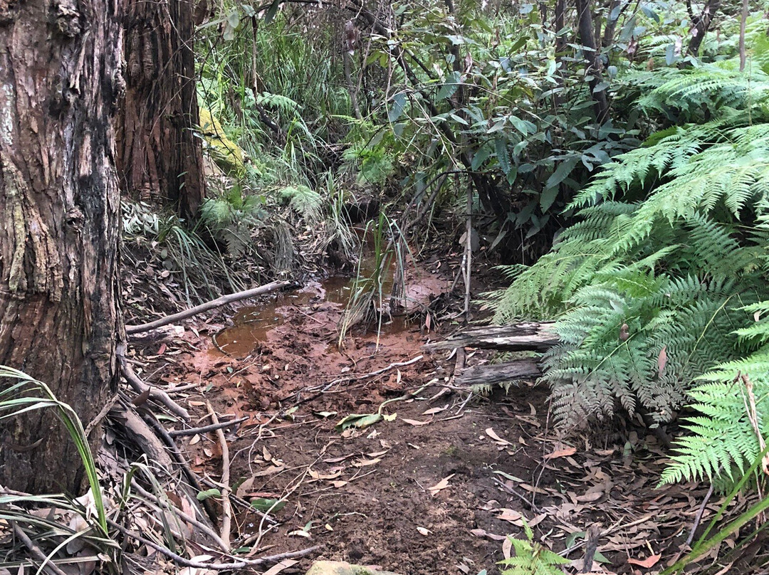 Valley Heights Fire Trail-Valley Heights必去景点