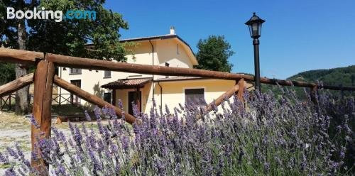 Agriturismo Acquafredda主图