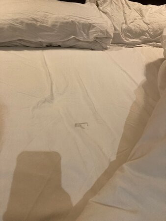新考迪酒店主图