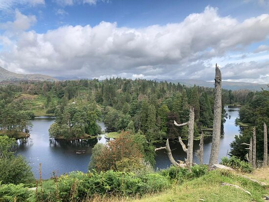 Yewfield Vegetarian Guesthouse主图