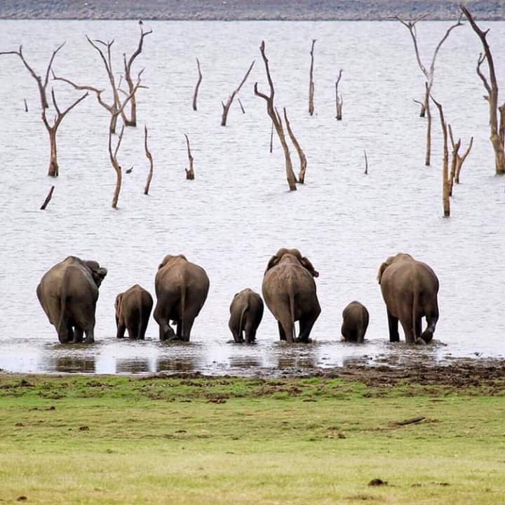 Nethu Lanka Tours-尼甘布必去景点